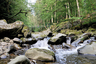 Familienurlaub auf dem Bauernhof im Bayerischen Wald